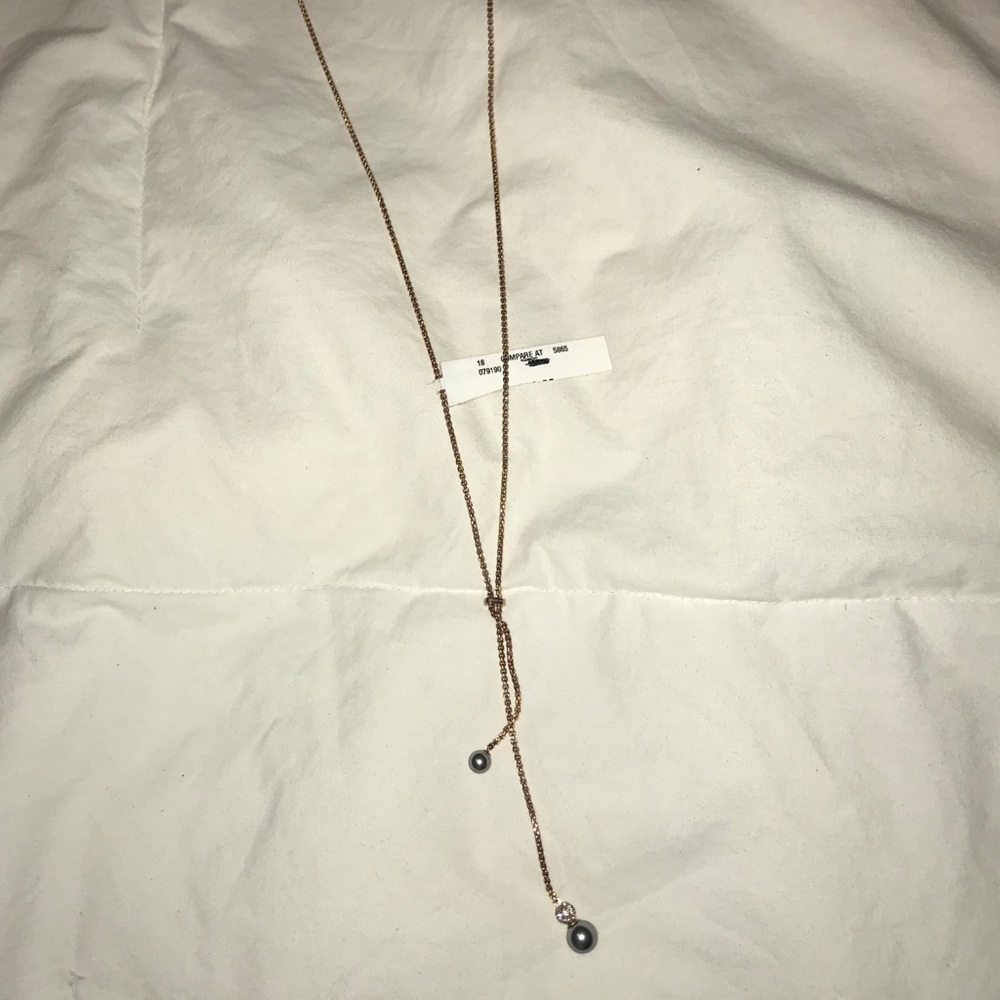 Michael Kors Earrings and Necklace Set (brand new)